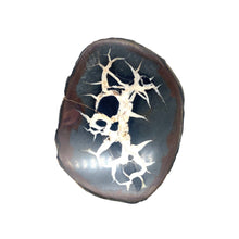 Load image into Gallery viewer, Septarie dragonstone | 07 - BraShiDa Gallery | Art from Mother Nature
