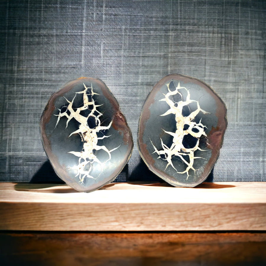 Septarie dragonstone | 07 - BraShiDa Gallery | Art from Mother Nature