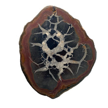Load image into Gallery viewer, Septarie dragonstone | 08 - BraShiDa Gallery | Art from Mother Nature
