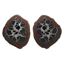 Load image into Gallery viewer, Septarie dragonstone | 08 - BraShiDa Gallery | Art from Mother Nature
