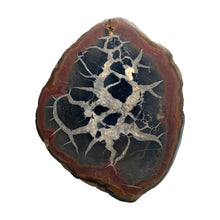 Load image into Gallery viewer, Septarie dragonstone | 08 - BraShiDa Gallery | Art from Mother Nature
