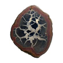 Afbeelding in Gallery-weergave laden, Septarie dragonstone | 08 - BraShiDa Gallery | Art from Mother Nature
