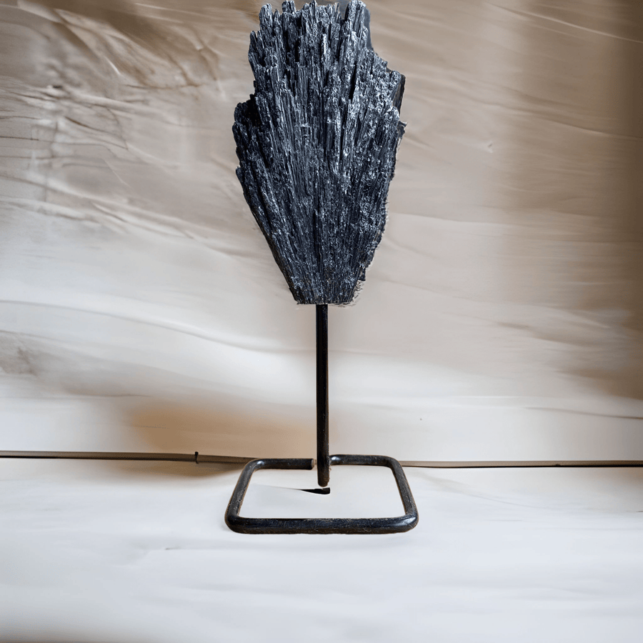 Zwarte Kyaniet op standaard - BraShiDa | Stone Gallery